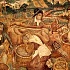 История развития виноградарства и виноделия